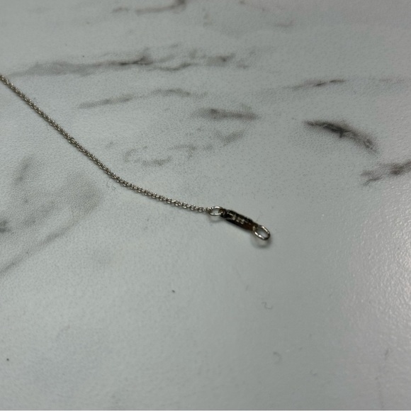 Tiffany & Co x Paloma Picasso Capricorn Necklace Pendant Combo - Picture 4 of 13